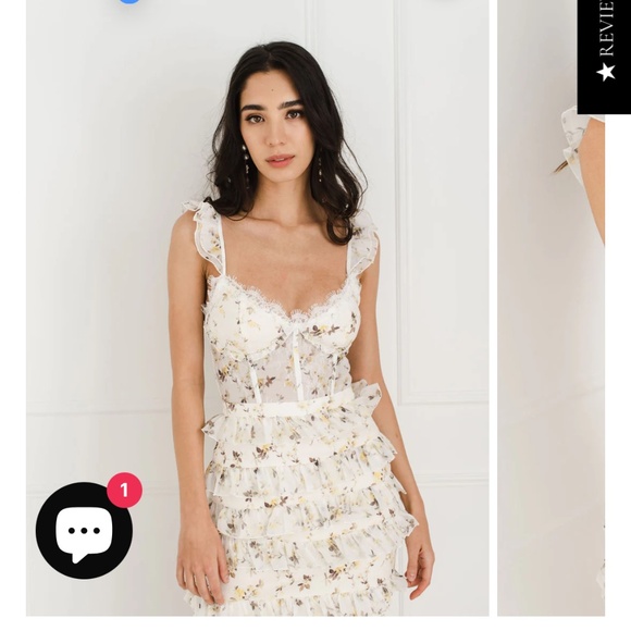 NEW V Chapman dress - Picture 1 of 6